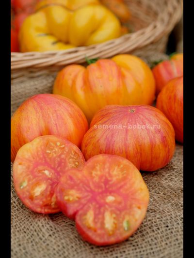 Томат Огненный Поцелуй Биколор с носиком, 10 шт