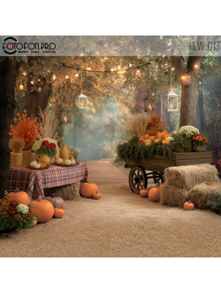 Фотофон виниловый «Осенняя пора»