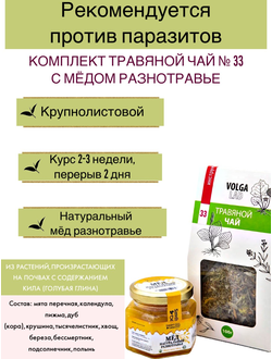 Травяной чай Волгаладь № 33 с медом разнотравье, лечебный комплект, 70/140 г