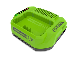 Зарядное устройство Greenworks 60V