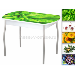 ОМ160 Стол обеденный "Орфей-6". Размер: 996*755*666