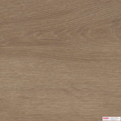 Декор ламината Haro Tritty 100 Campus Дуб Венето Кремовый 541543 структура