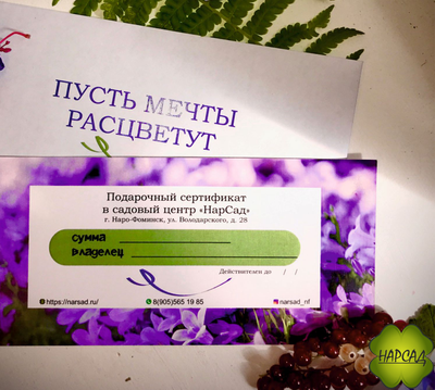 ПОДАРОЧНЫЙ СЕРТИФИКАТ НА 1000 РУБЛЕЙ