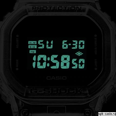 Часы Casio G-Shock DW-5600SKE-7ER