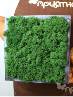 ЖИВАЯ ЭКО-КАРТИНА 1065