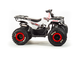 Купить Квадроцикл ATV 125 WILD