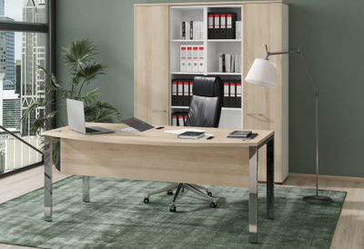 Кабинет руководителя XTEN GLOSS