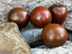 Caramel Cardinale