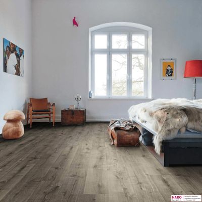 Ламинат Haro Daily Edition Дуб Калла Серый 541341 31 класс толщина 7 мм без фаски 2.22 м2