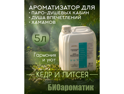 Ароматический состав для Душа впечатлений - хамама "Кедр&Литцея", 5 л