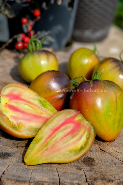 Томат Пленительное Сердце, 10 шт