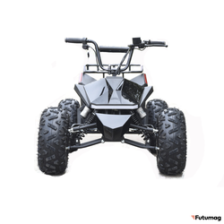 Электроквадроцикл Skyboard CyberTruck Karelia 1800W