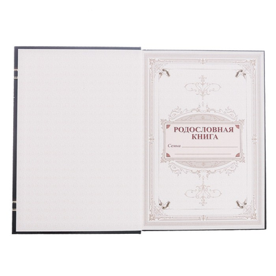 Родословная книга новогодняя «Семейная летопись», 56 листов, 17 х 2 х 23,7 см.