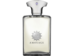 Аромат Amouage Reflection Man