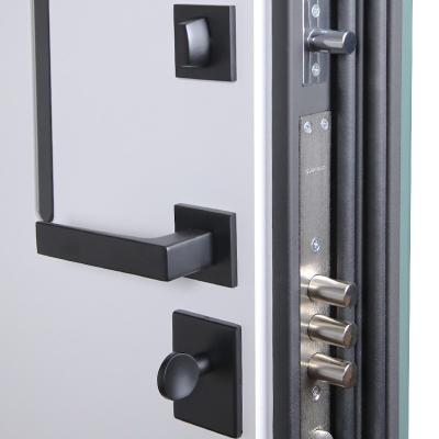 Стальная дверь    «Briz». Заказная модель.