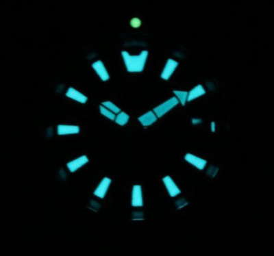 Наручные часы Citizen NY0160-66E