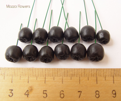 Молд "Черноплодная рябина"