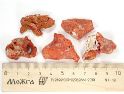 Коралл природный в ассортименте, Индонезия (30-35 мм, 3-4 г) №27528