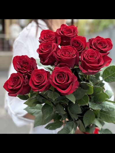 15 эквадорских роз 80 см (цвет на выбор)