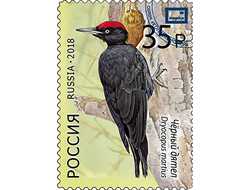 Магнит. Дятлы. Чёрный дятел