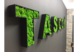 Вывески и предметы декора из стабилизированного мха