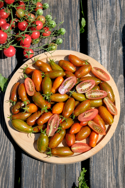 Томат Оливетта полосатая (Olivette Striée), 10 шт