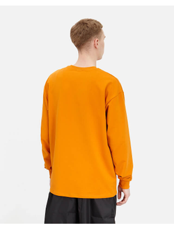 Лонгслив Anteater Phat 097 Оранжевый