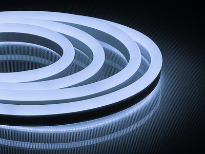 cvetodiodnaya-lenta-neonovaya-144smd-2835-m-12vt-m-50m-ip67-220v