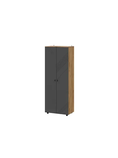 Байкал Шкаф двухстворчатый комбинированный SAFE Дуб Золотой/Графит