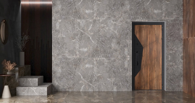 Стальная дверь   Сапсан с зеркалом (биометрический замок Smart lock DZ 888)
