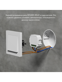 Одноканальное Wi-Fi реле-выключатель Denkirs RL1001-SM/1