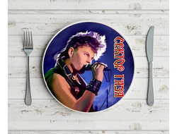 Тарелка Сектор Газа, Юрий Хой №1