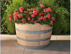 Вазон из дубовой бочки