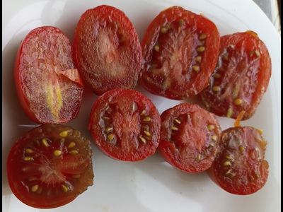 Томат Черный мавр