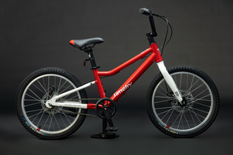 Велосипед TT231/ 1ск 20" красный рама 12"