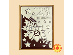 23 Февраля (отечественная война)