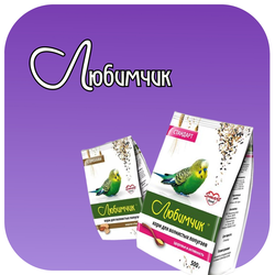 Любимчик