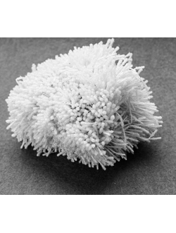 Тычинки Сахарные около 140 нитей , цвет белый