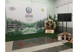 Национальный лесной форум РФ 2018