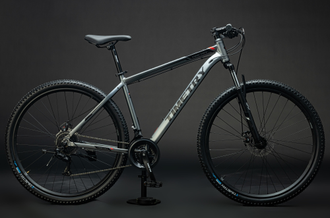 Горный велосипед TT207/ 21ск 29" серый рама 19"