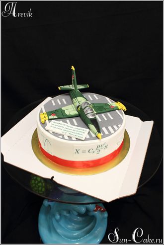 Торт с военным самолётом (3,5 кг.)