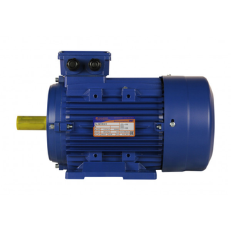 Электродвигатель 5АИ 100S4 (3 кВт) IM 1081
