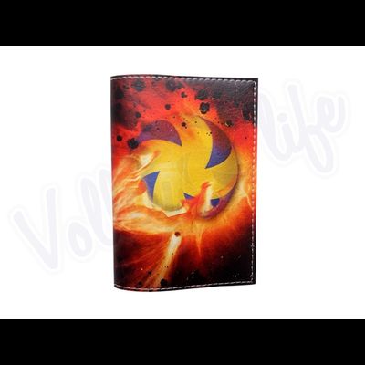 Обложка для паспорта "Метеорит"