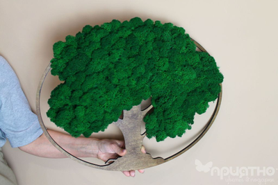 ЖИВАЯ ЭКО-КАРТИНА 1018