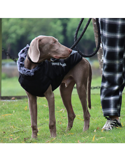 Куртка для собак My World My Rules