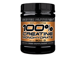 Creatine Monohydrate 500g