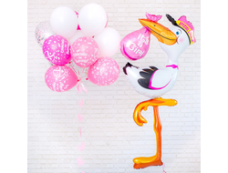 "Аист принес девочку" + комплект шаров