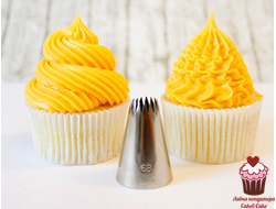 Насадка 6B французская звезда