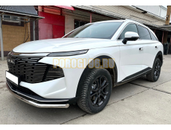 Защита переднего бампера Папа Тюнинг d53 для HAVAL F7 2024-