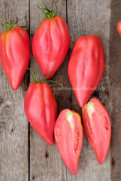 Томат Тюльпан Розовый, 5 шт